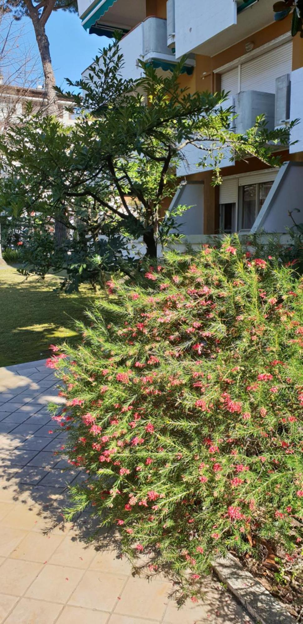 Versilia Apartment Forte dei Marmi Exteriör bild